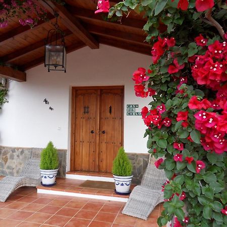 Alhaurín el Grande Bed & Breakfast | Guest House Casa Don Carlos מראה חיצוני תמונה