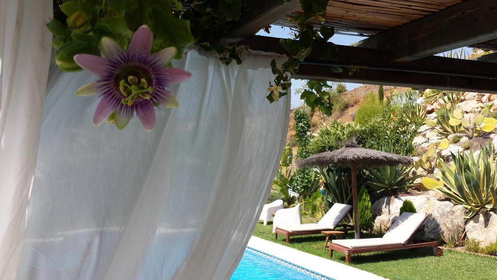 Alhaurín el Grande Bed & Breakfast | Guest House Casa Don Carlos מראה חיצוני תמונה