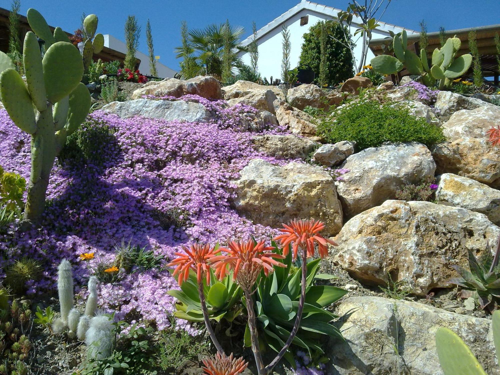 Alhaurín el Grande Bed & Breakfast | Guest House Casa Don Carlos מראה חיצוני תמונה