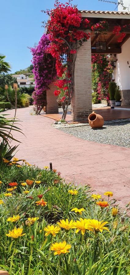 Alhaurín el Grande Bed & Breakfast | Guest House Casa Don Carlos מראה חיצוני תמונה